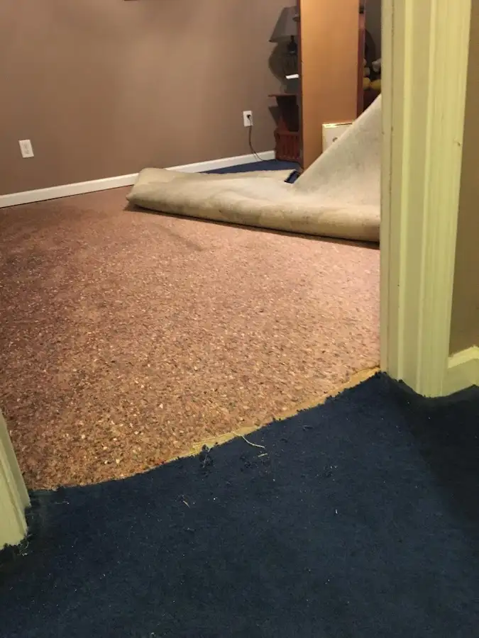 Carpet pad removal revealing water damage during Water Mitigation Services in Newton